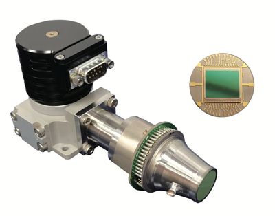 Black Hawk Metal Detector Descubre un Tesoro de Monedas 15 Black Hawk Metal Detector Descubre un Tesoro de Monedas