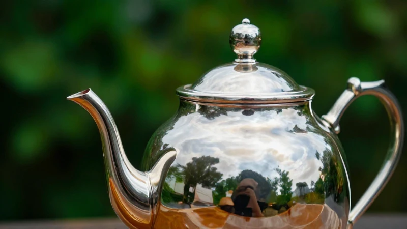 Plata brillante en estilo fotográfico elegante