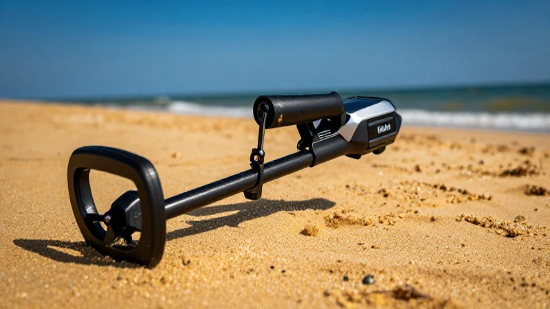 Detector Nokta Makro en playa dorada impactante