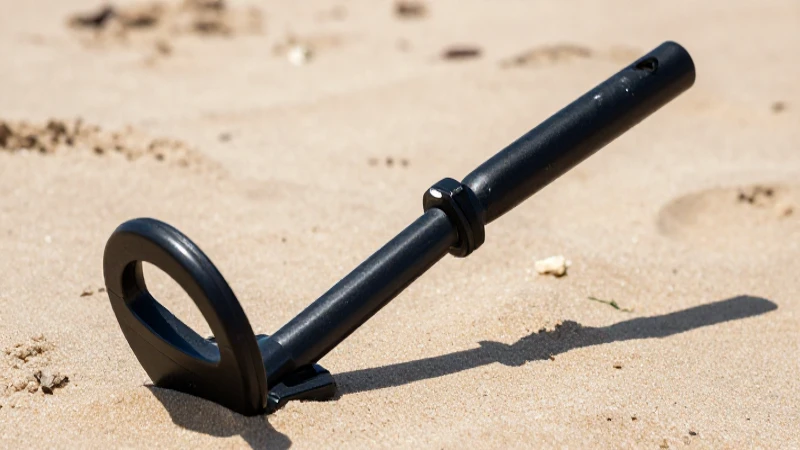 Detectando metal en la playa, impactante imagen