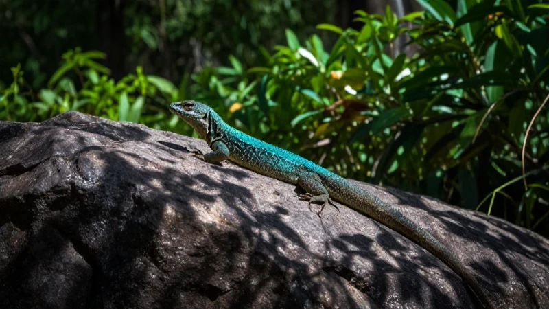 Se inauguró la primera UMA en Cocula para conservar el lagarto 8 Escena natural vibrante con lagarto y sombras